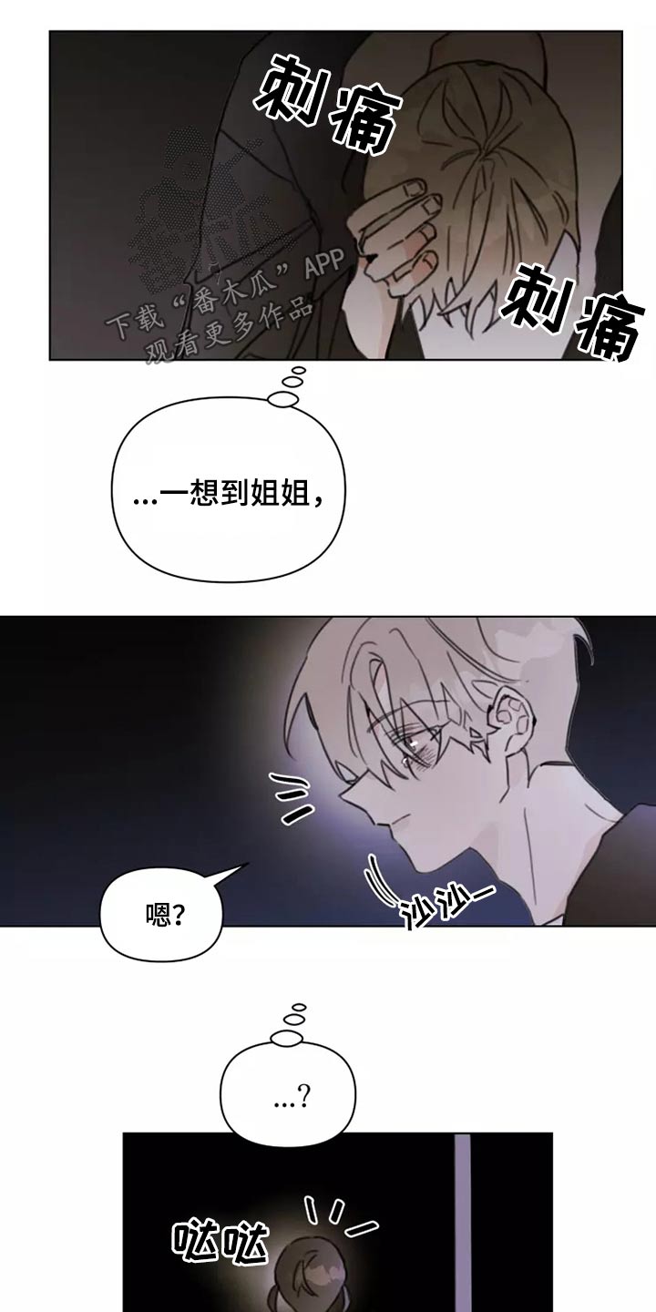 浪漫青春是什么意思漫画,第23章：姐姐1图