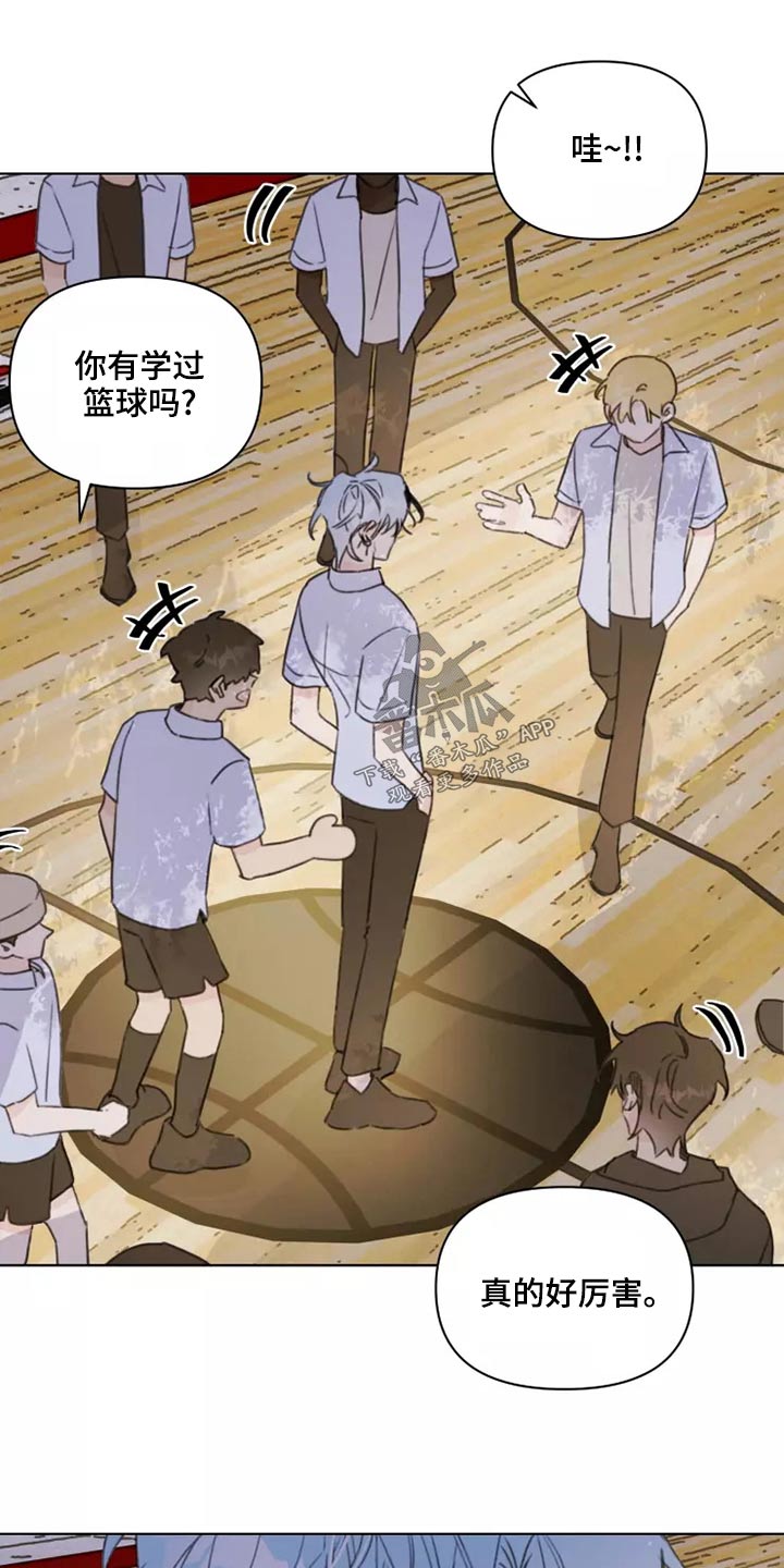 浪漫的故事漫画,第39章：篮球1图