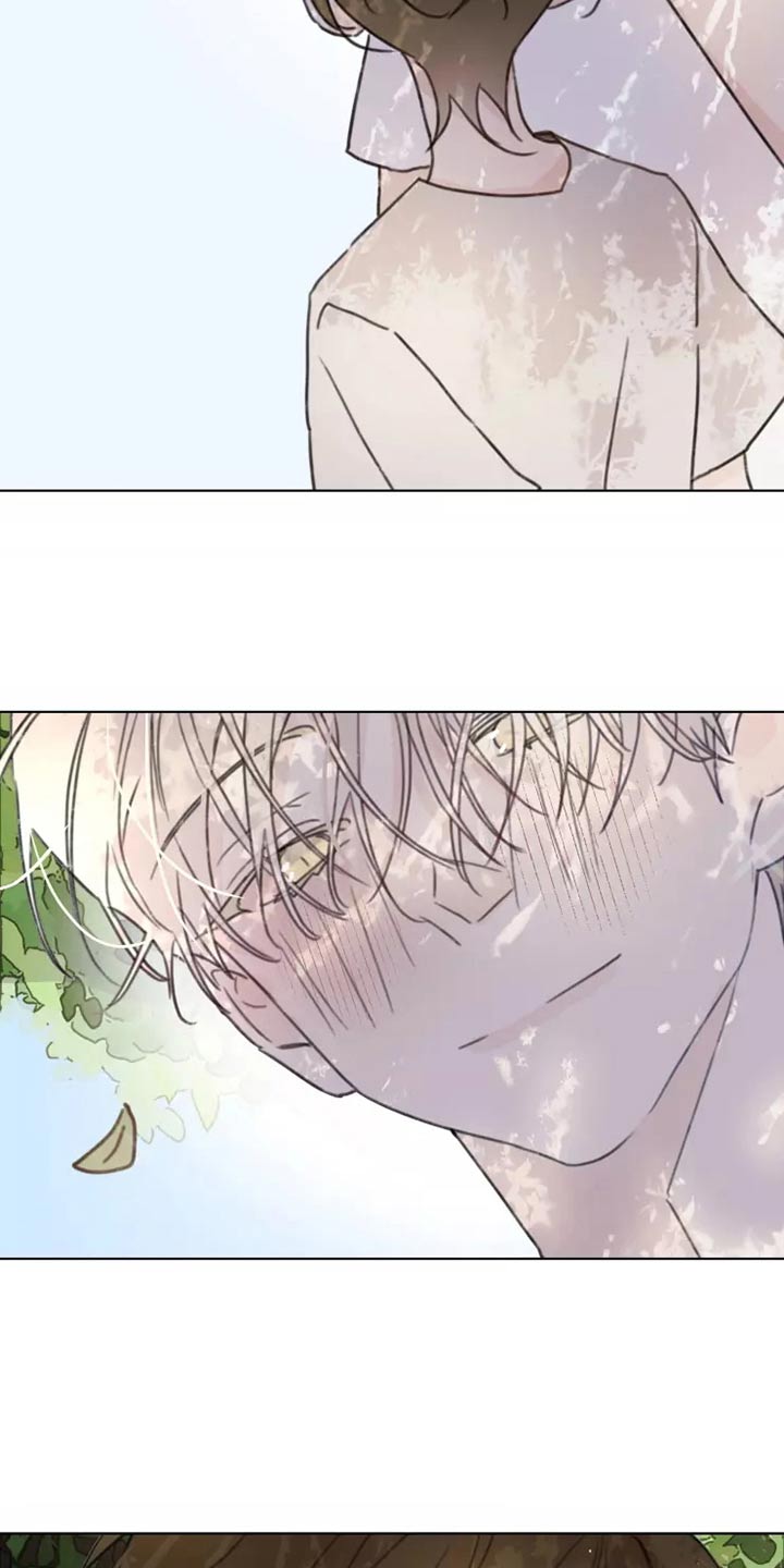 浪漫的青春漫画,第33章：心态4图