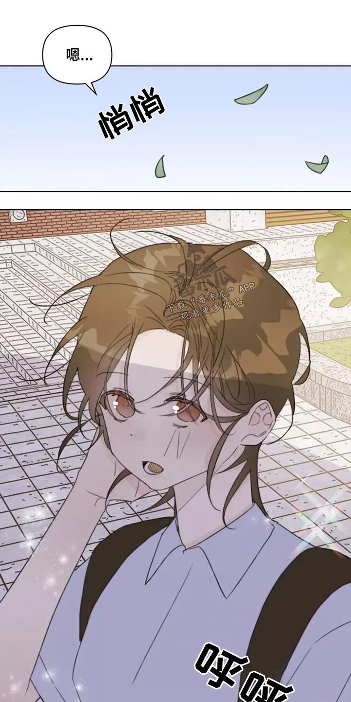 浪漫的青春电影漫画,第39章：篮球1图