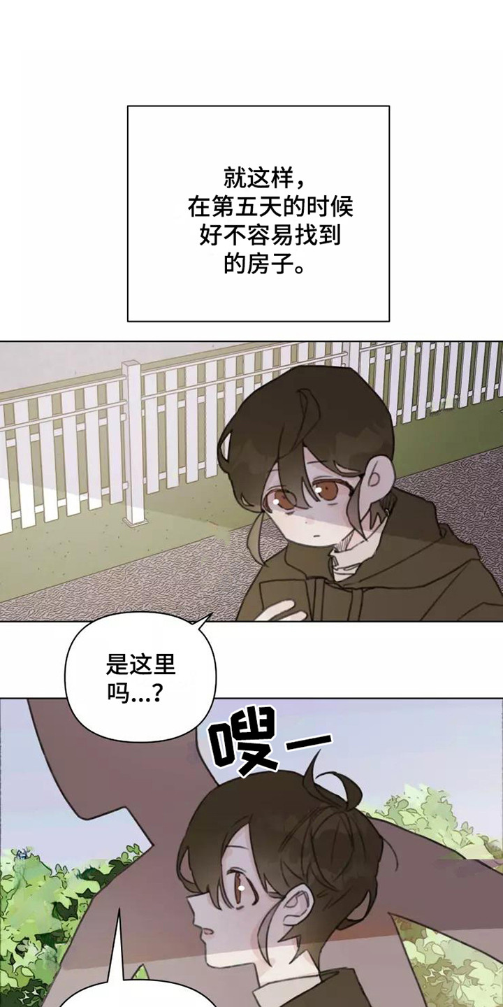浪漫的惩罚视频漫画,第13章：悲惨2图