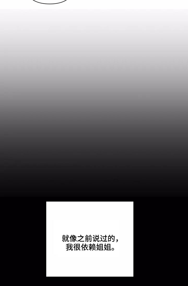 浪漫的青春漫画,第27章：姐姐4图