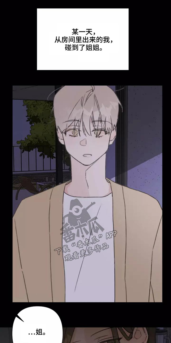 浪漫的青春漫画,第27章：姐姐2图