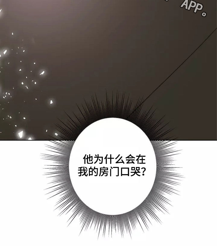 浪漫的洒脱漫画,第16章：哭泣5图