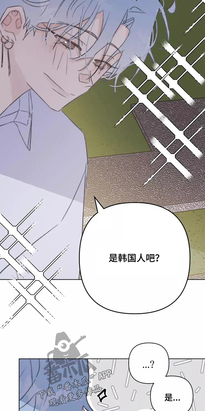 浪漫的图片漫画,第38章：转学生5图
