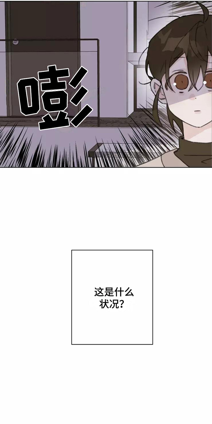 浪漫青春是什么意思漫画,第14章：不知所措1图