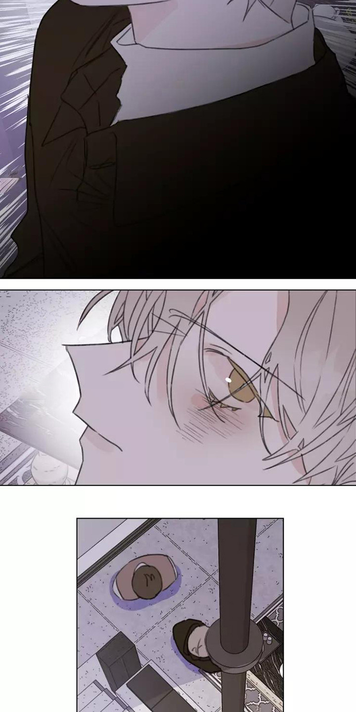 浪漫青春是什么意思漫画,第14章：不知所措3图