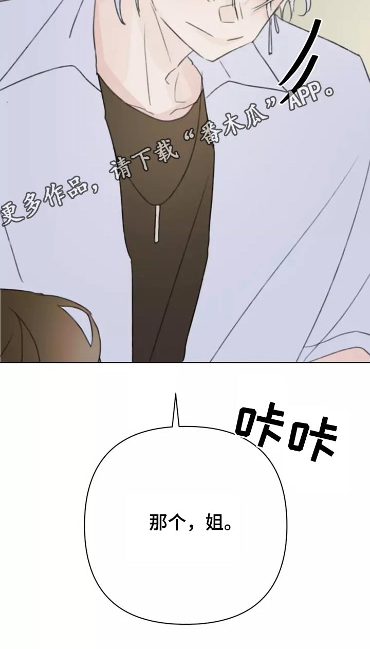 浪漫的青春电视剧全集免费观看漫画,第38章：转学生4图