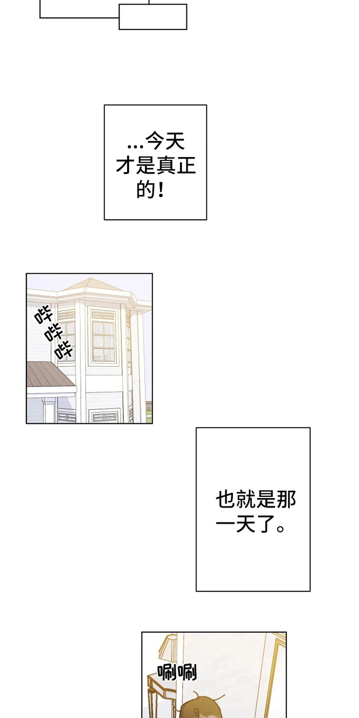 浪漫的洒脱漫画,第4章：人生地不熟4图