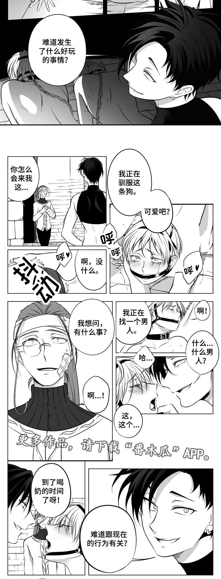 猎龙行动短剧全集漫画,第19章：团团转3图