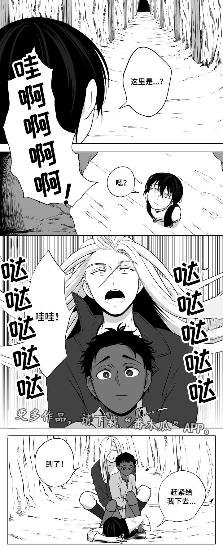 猎龙谋划漫画,第12章：陷阱4图