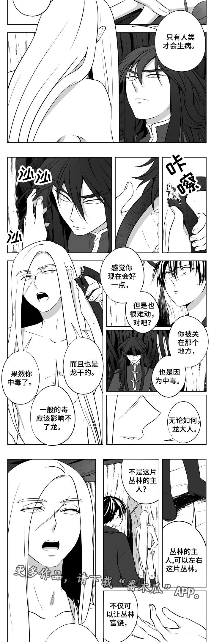 猎龙谋划漫画,第18章：丛林的主人3图