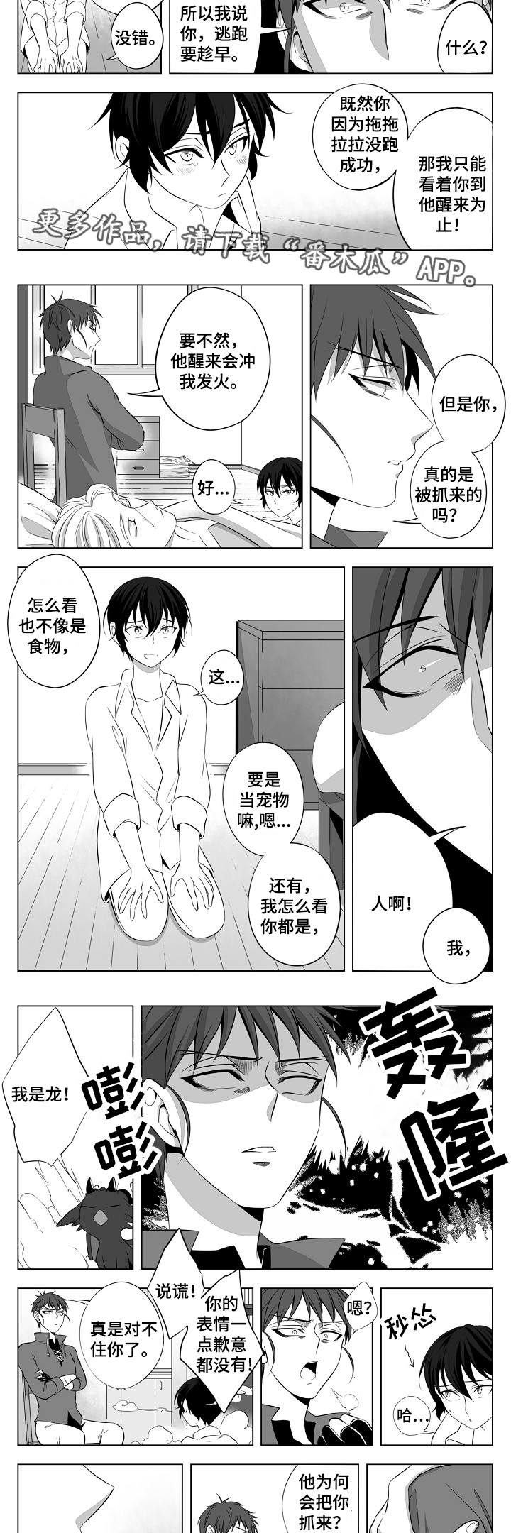 猎龙vn漫画,第4章：一见钟情3图