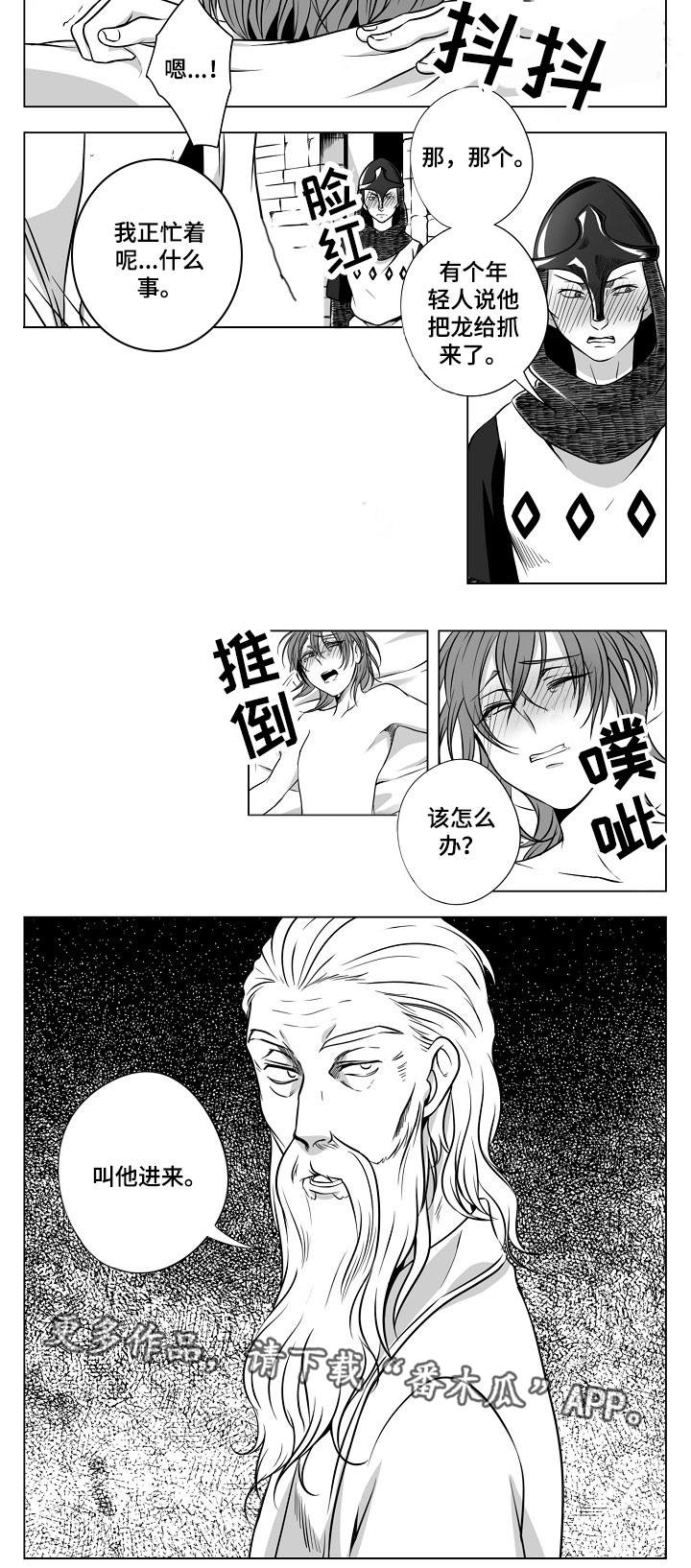 猎龙消消大作战破解版漫画,第20章：皇宫4图