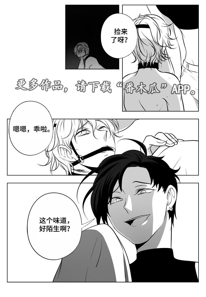 猎龙谋划漫画,第20章：皇宫5图