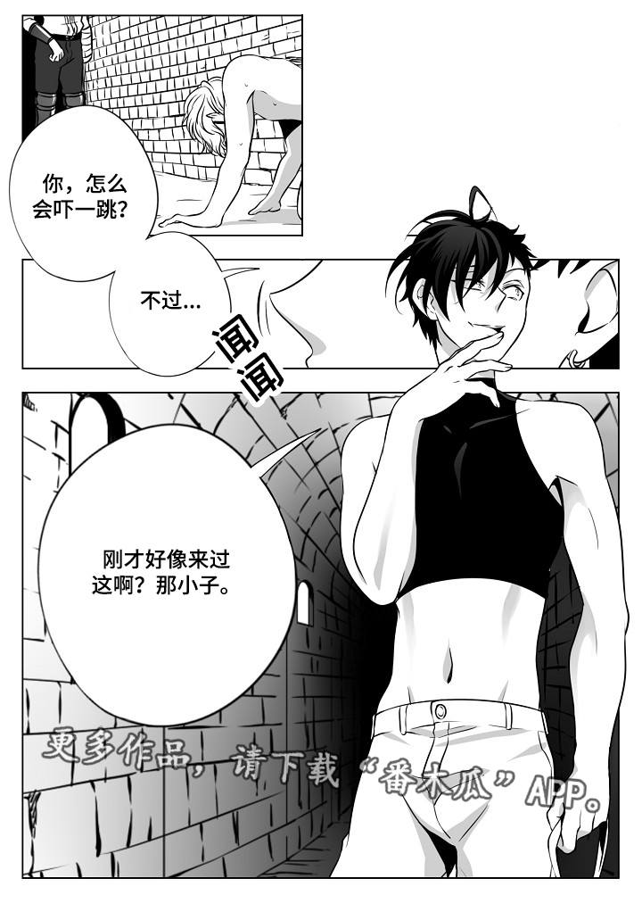 猎龙王漫画,第21章：除掉他们1图