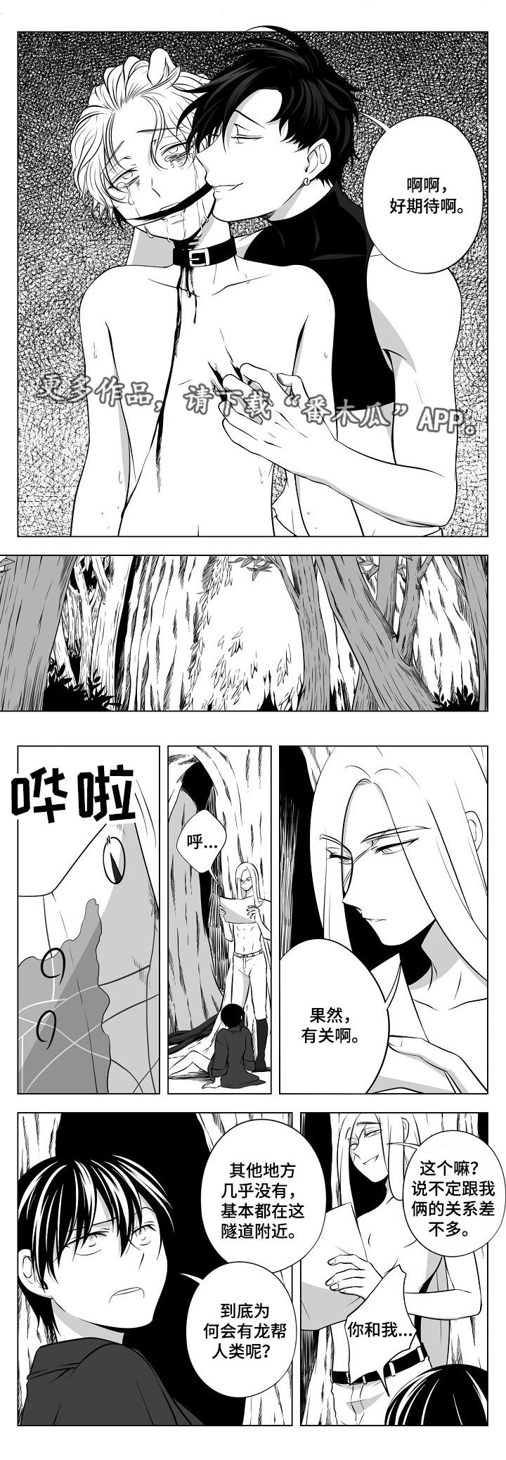 猎龙谋划漫画,第20章：皇宫1图