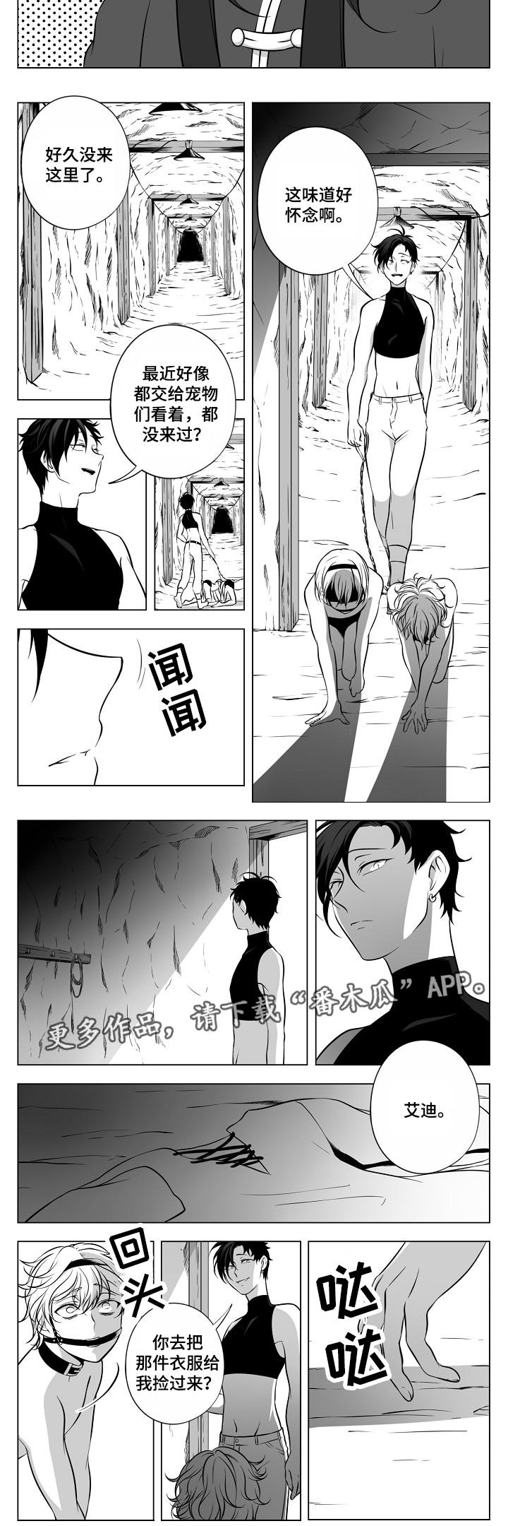 猎龙谋划漫画,第20章：皇宫4图