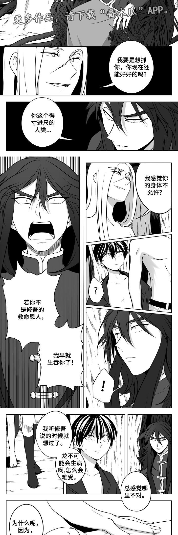 猎龙谋划漫画,第18章：丛林的主人2图