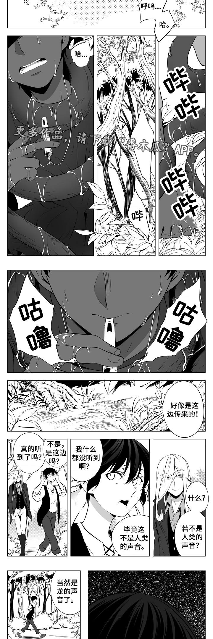 猎龙谋划漫画,第8章：龙的声音2图