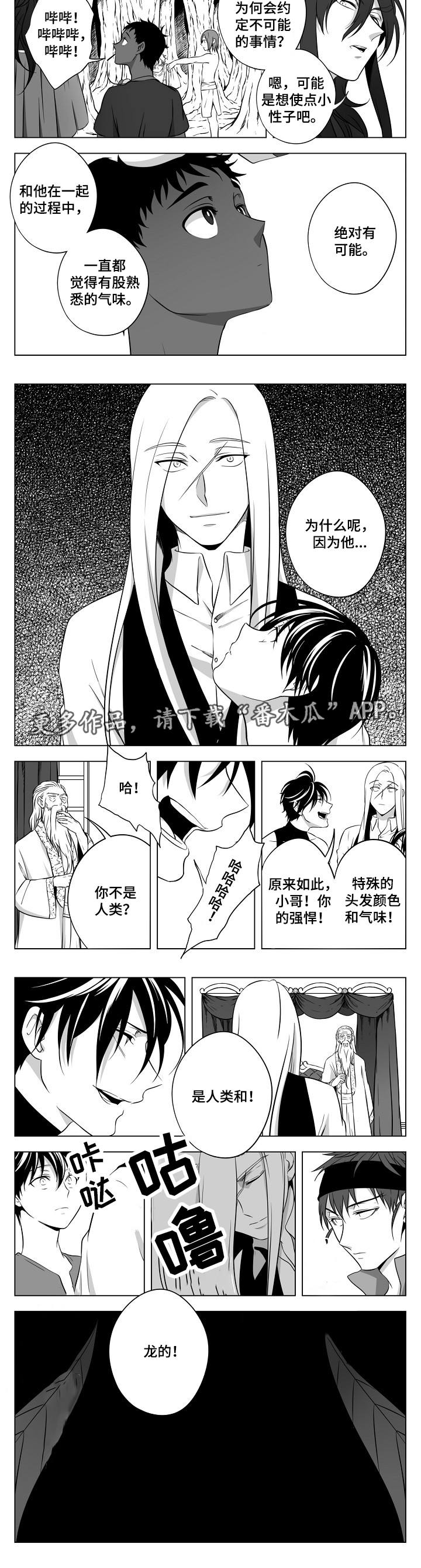 猎龙谋划漫画,第24章：终章4图