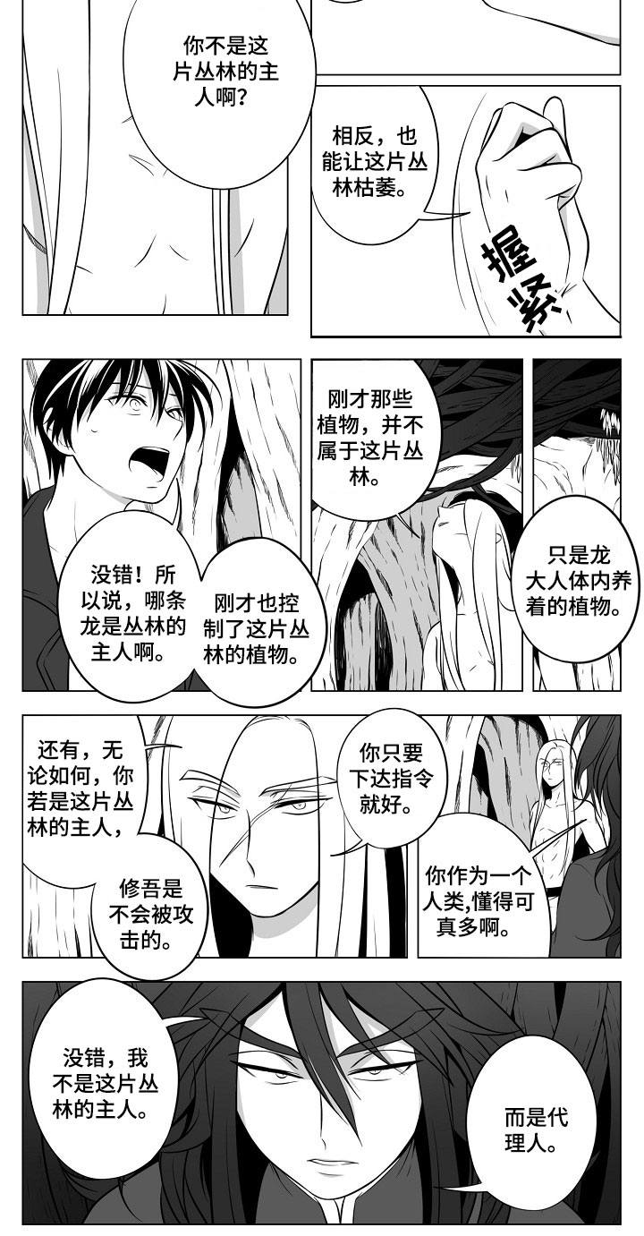 猎龙谋划漫画,第18章：丛林的主人4图