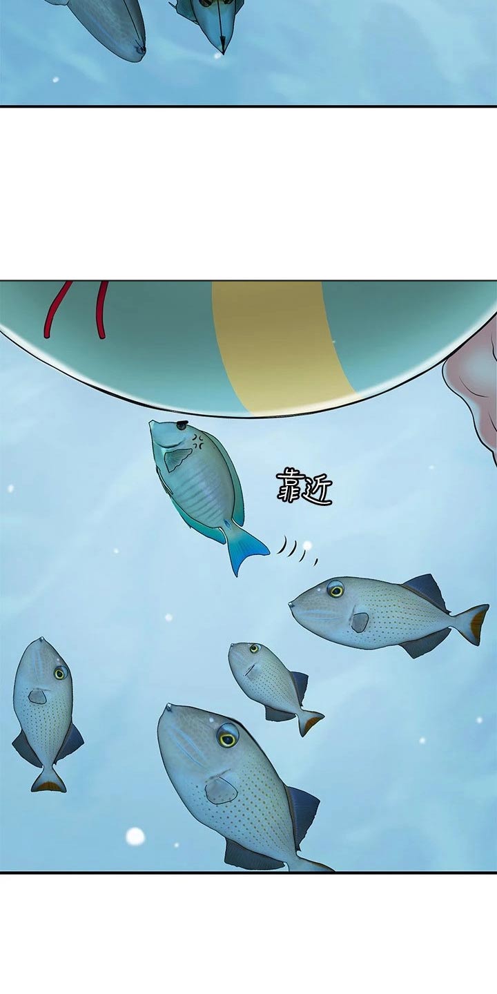 快乐城市漫画,第62章：目光2图