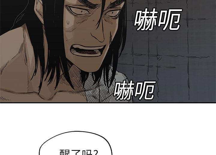 乱世危情在线观看漫画,第54章：纸老虎3图