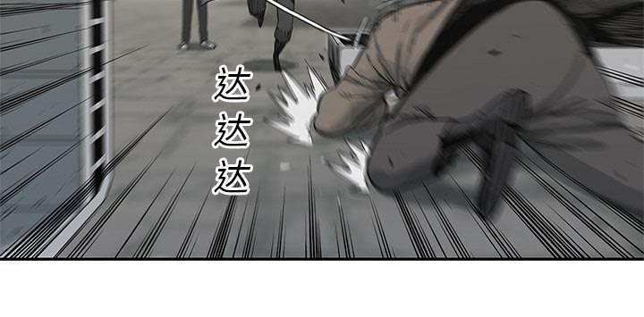 乱世有情天迅雷下载漫画,第50章：找到4图