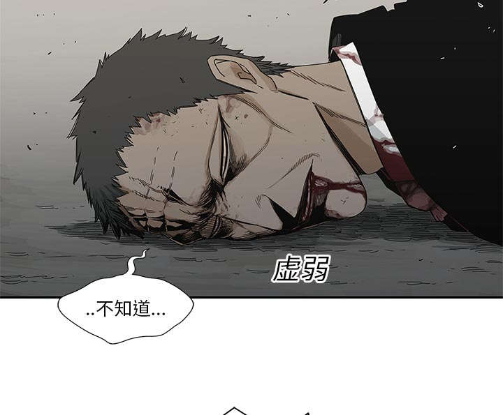 乱世有情天迅雷下载漫画,第47章：线索2图