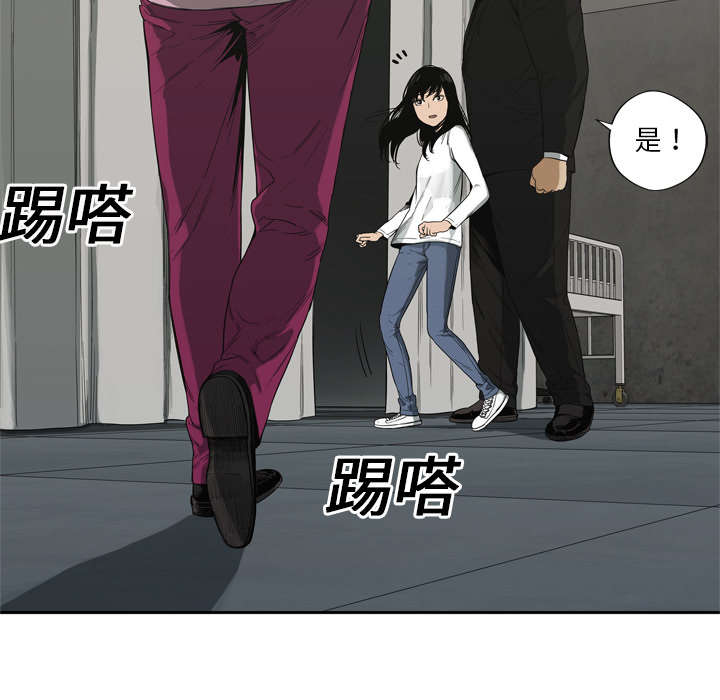 乱世有情天迅雷下载漫画,第21章：移植手术4图