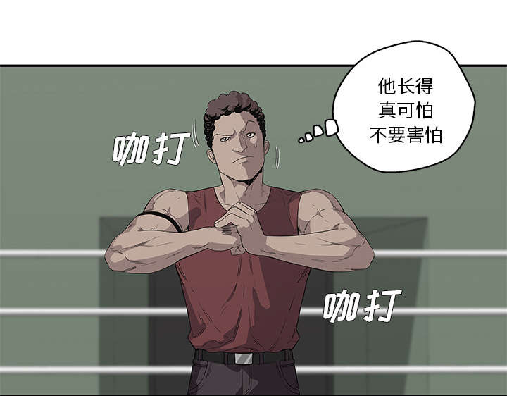 乱世邮差漫画,第78章：关注1图