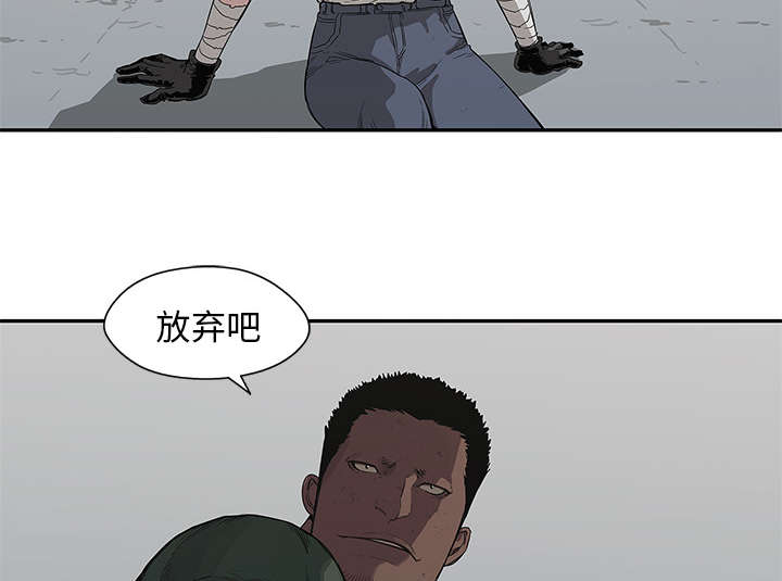 乱世邮差漫画,第78章：关注4图