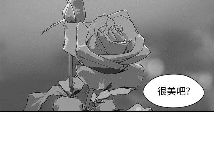 乱世邮差漫画,第51章：血腥复仇3图