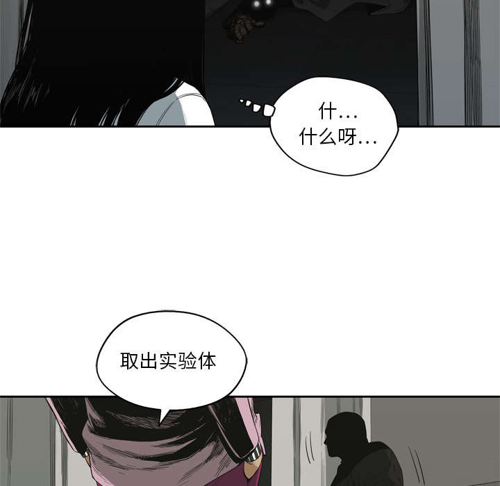乱世有情天迅雷下载漫画,第21章：移植手术3图