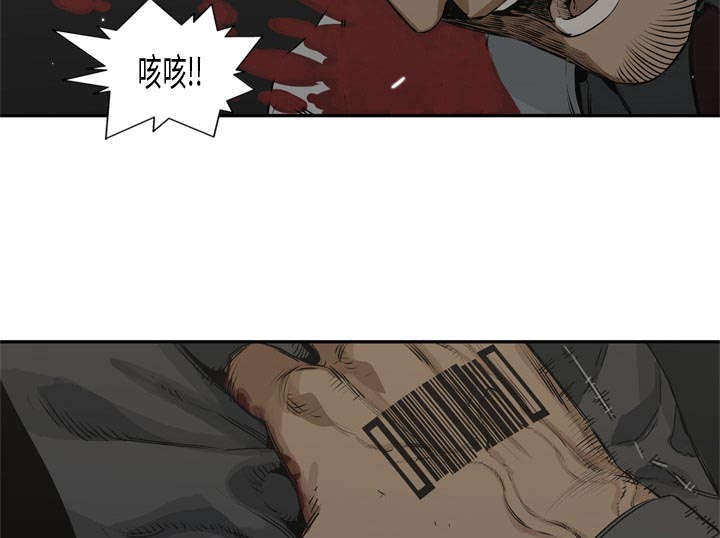 乱世邮差漫画,第39章：进入3图