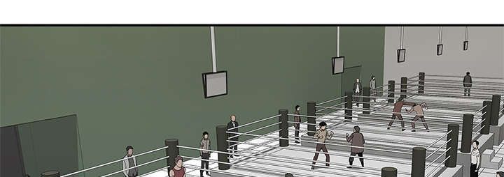 乱世邮差漫画,第78章：关注3图