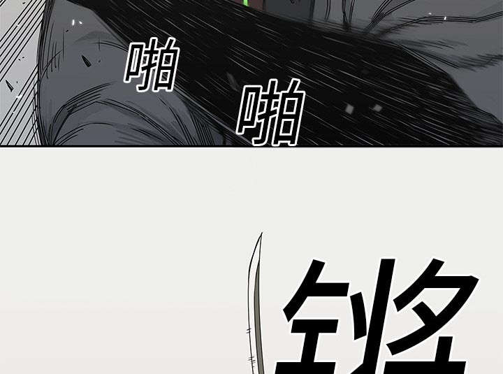 乱世有情天迅雷下载漫画,第47章：线索3图