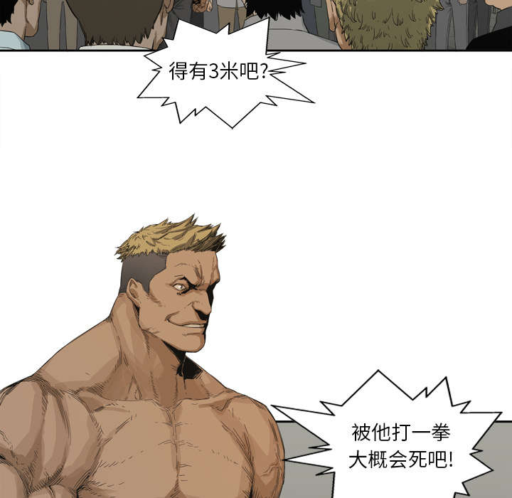 乱世有情天迅雷下载漫画,第5章：地下拳击场4图