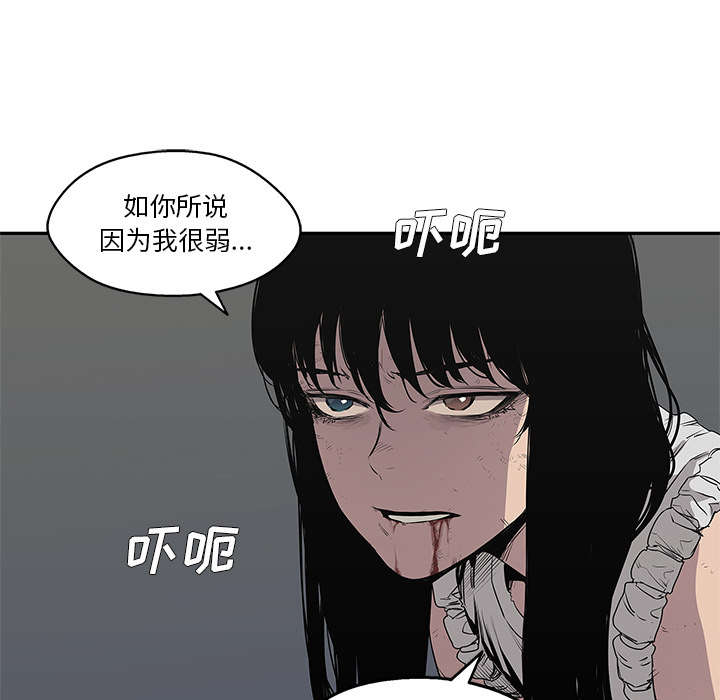 乱世邮差漫画,第78章：关注3图