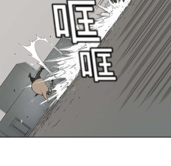 乱世有情天迅雷下载漫画,第3章：劫持人质3图