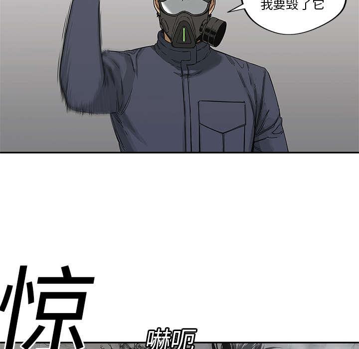 乱世有什么特征漫画,第50章：找到1图