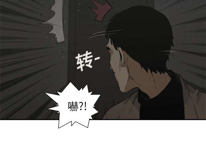 乱世邮差漫画,第40章：畸形体2图