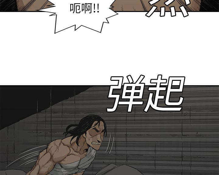 乱世危情在线观看漫画,第54章：纸老虎1图