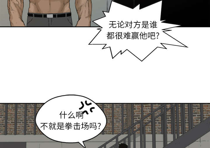 乱世有情天迅雷下载漫画,第5章：地下拳击场2图