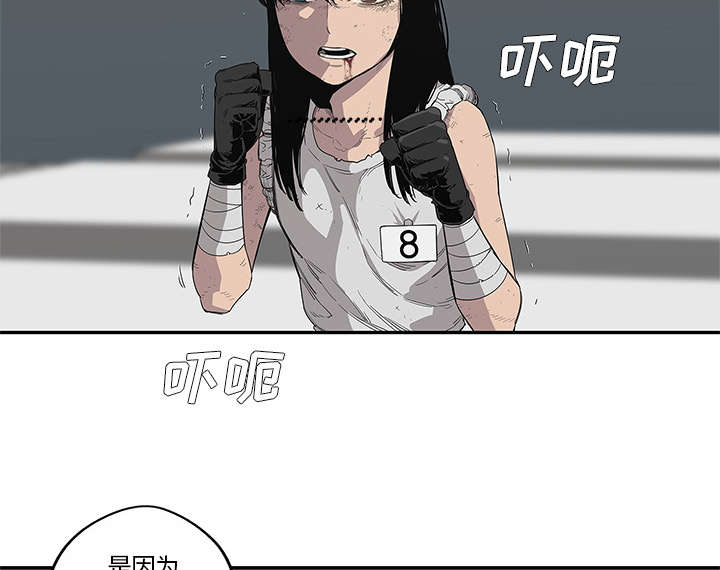 乱世邮差漫画,第78章：关注2图