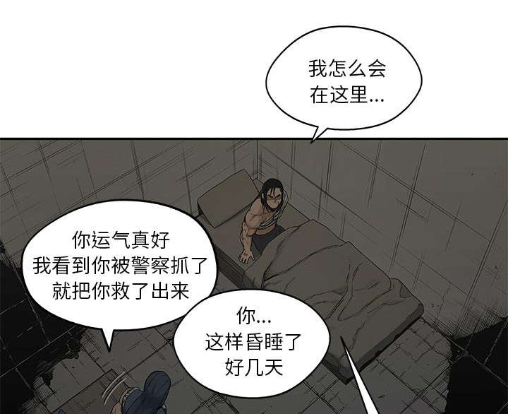 乱世危情在线观看漫画,第54章：纸老虎5图
