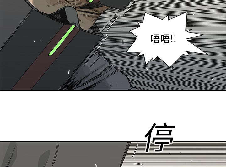 乱世有情天迅雷下载漫画,第47章：线索1图