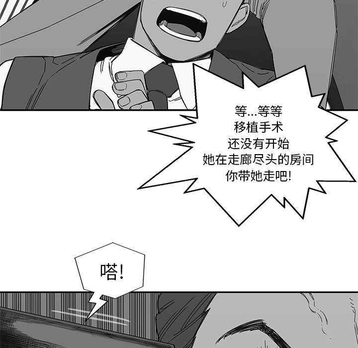 乱世邮差漫画,第48章：实验体4图