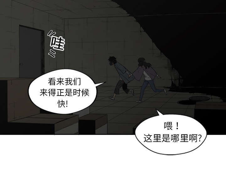 乱世有情天迅雷下载漫画,第5章：地下拳击场2图